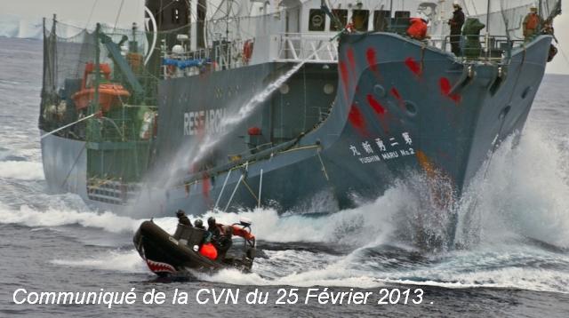 Les bergers de la mer en action ...